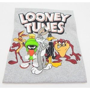 Looney Tunes Warner Bros Gray T-Shirt Delta Pro Weight Unisex Sz XL